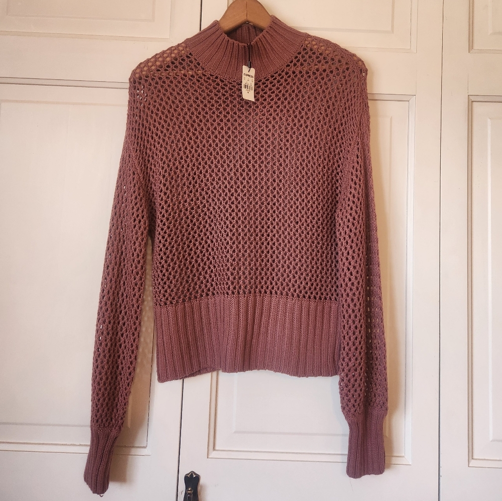 Nwt. Express Sweater
